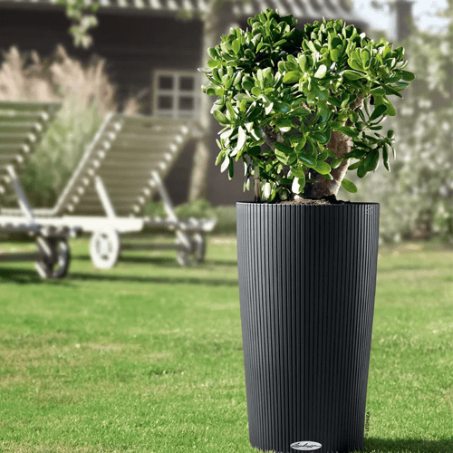clindro-self-watering-planter-681441