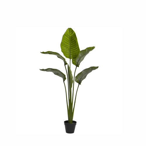 faux-outdoor-plants-788502