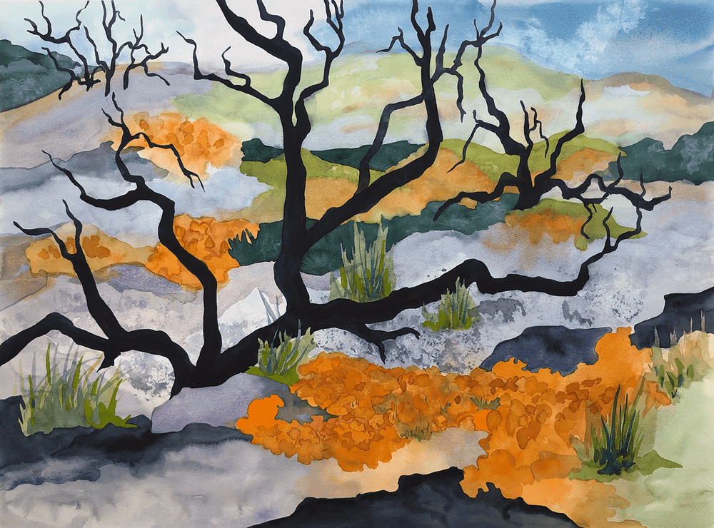 landscape-art-3-708945