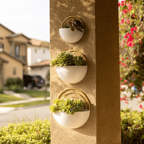wall-planters-316407